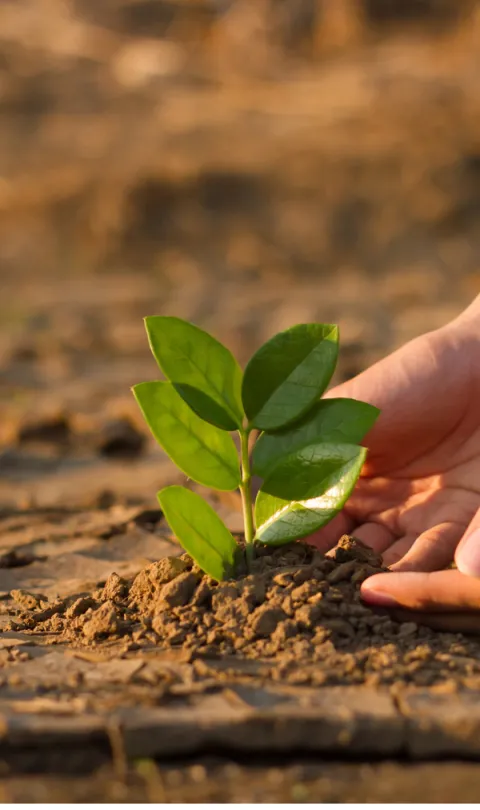 Harnessing Data for Climate Action: Innovations from Africa, Latin America, and the Caribbean
