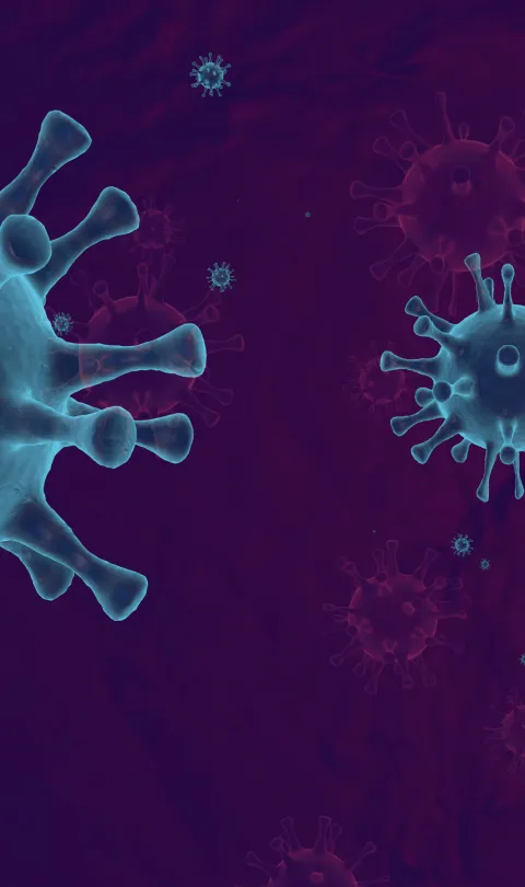Infectious diseases image