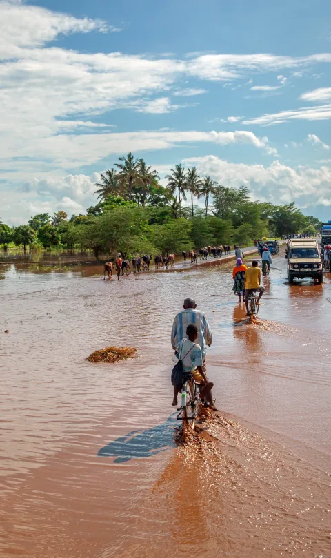 MANYARA, TANZANIA - NOVEMBER 28, 2011: The catastrophic debris flow destroyed a road between national parks Manyara and Ngorongoro. Car traffic was restored on the same day, Tanzania, East Africa