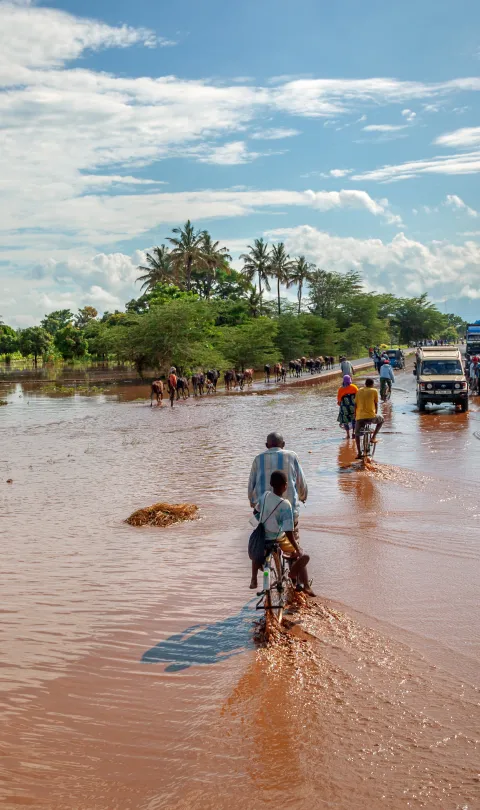 MANYARA, TANZANIA - NOVEMBER 28, 2011: The catastrophic debris flow destroyed a road between national parks Manyara and Ngorongoro. Car traffic was restored on the same day, Tanzania, East Africa