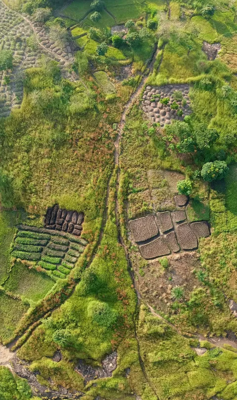 Farmland in Guinea, photo by Tim Oun / Unsplash