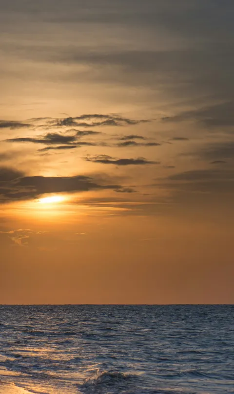 Suriname / Vincent Van Zalinge / Unsplash