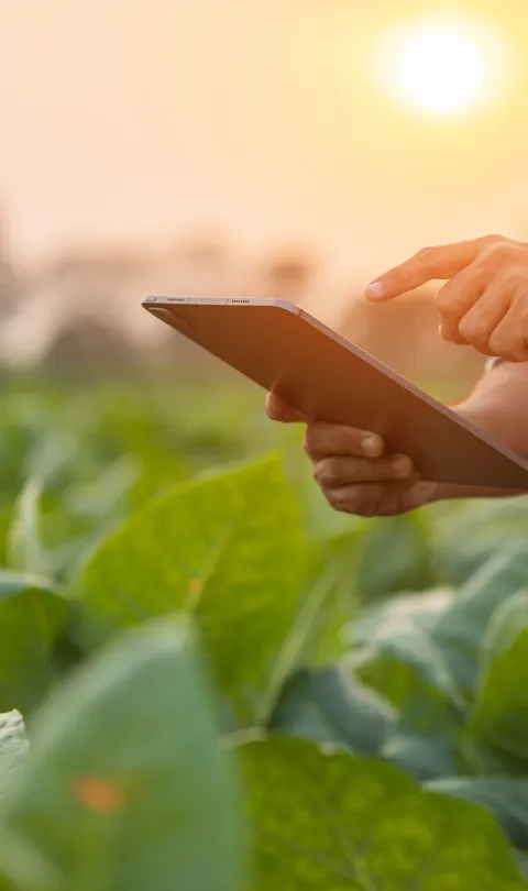 Farmer with ipad / Shutterstock 