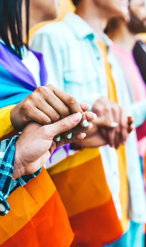 LGBT flag image