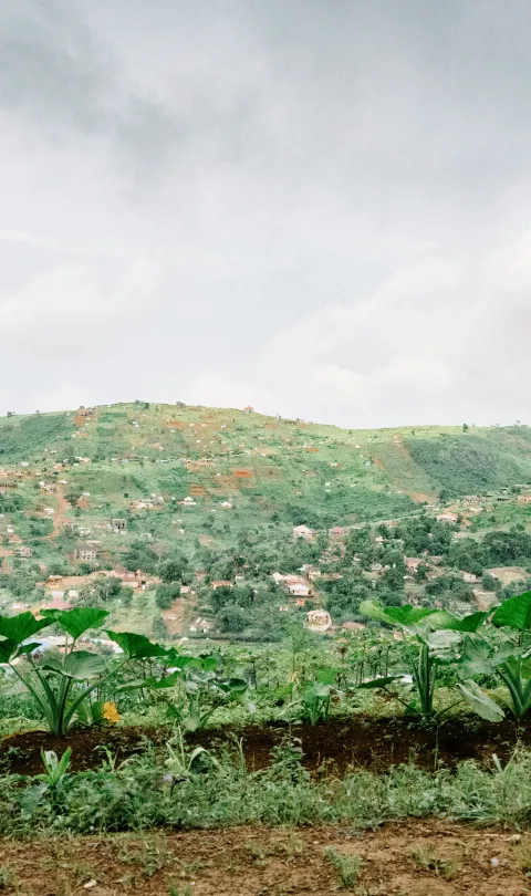 Sierra Leone / Random Institute - Unsplash
