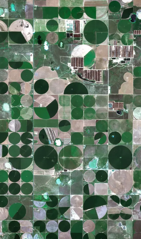 Amarillo Texas Farmland on open data satellite data  by M. Jurzyk