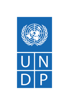 UNDP logo