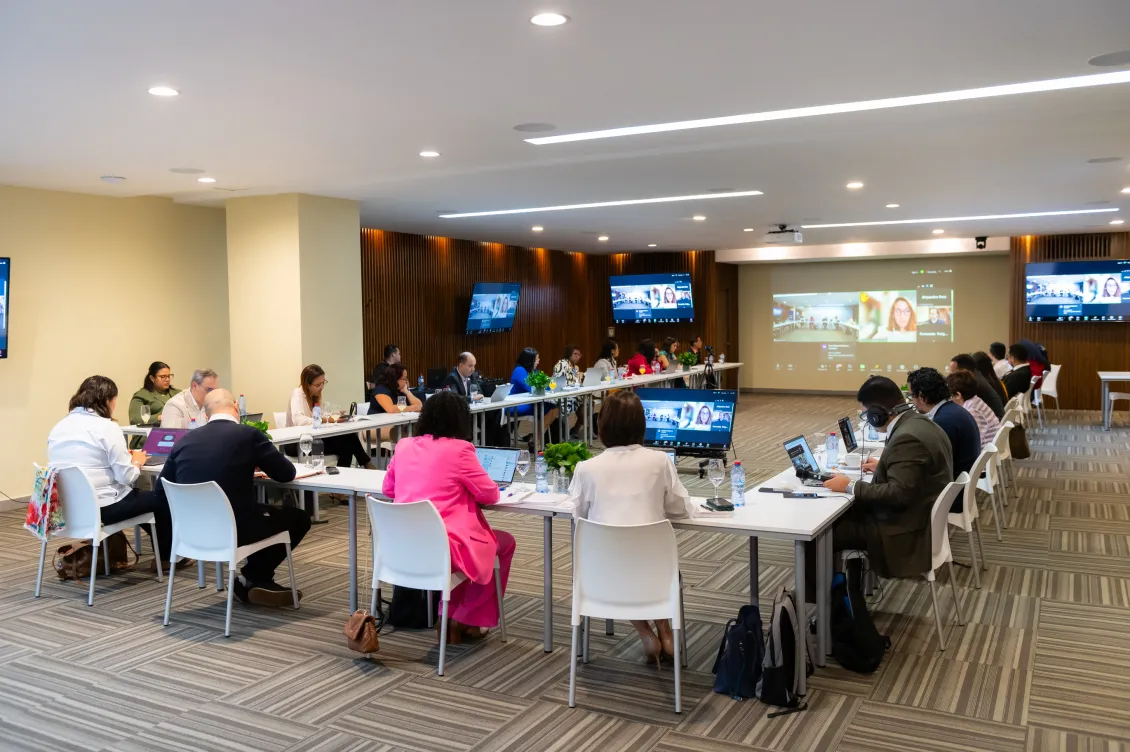 Public-private partnerships event in DR