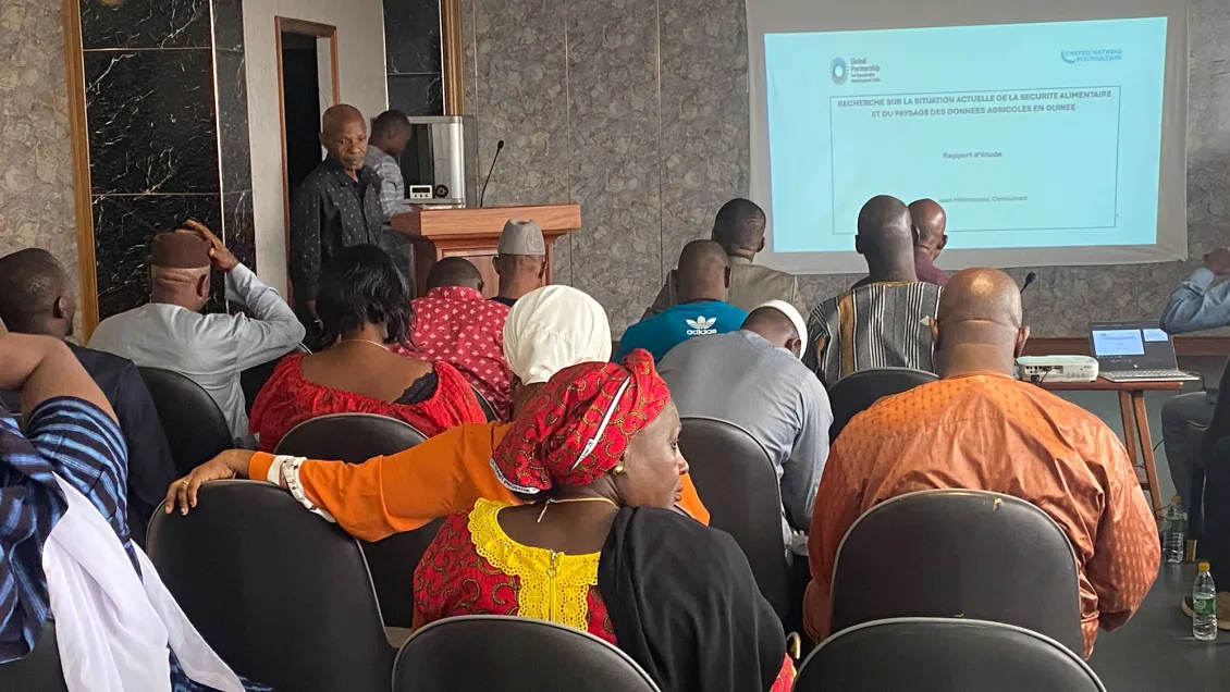 Participants at the Food Security and Agricultural Data event in Guinea in June 2024