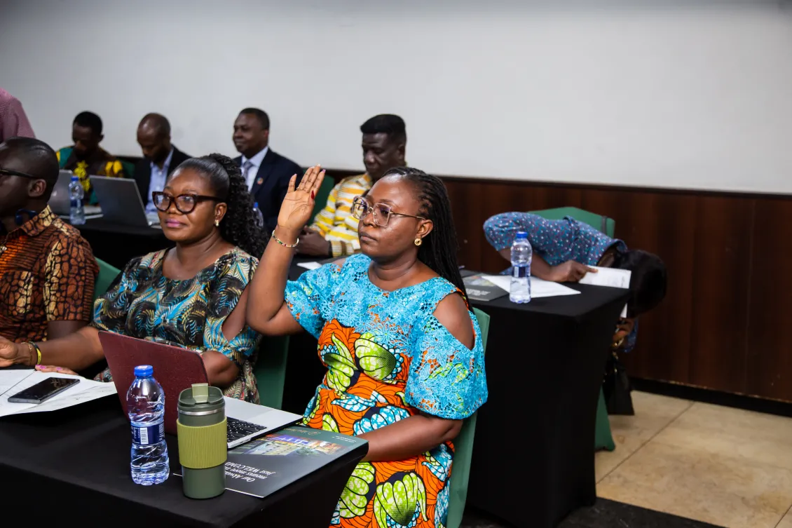 FGM Ghana workshop