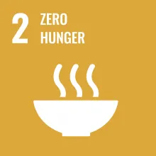 Sustainable Development Goal 2 Zero Hunger icon in yellow