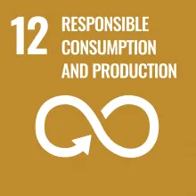 Sustainable Development Goal 12 Responsible Consumption and Production icon in mustard