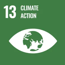Sustainable Development Goal 13 Climate Action icon in green