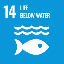 Sustainable Development Goal 14 Life Below Water icon in blue