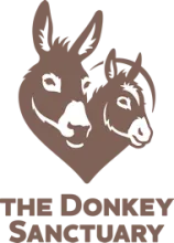 The Donkey Sanctuary Logo