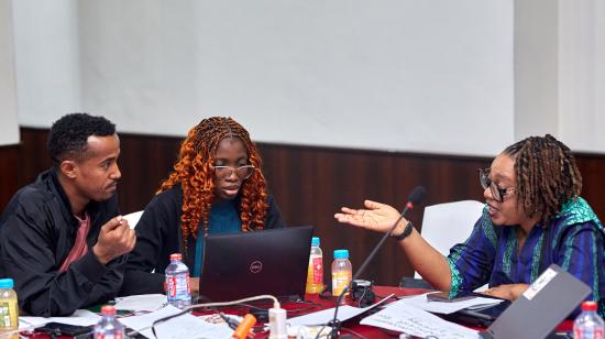 CAN fellows / The Global Partnership