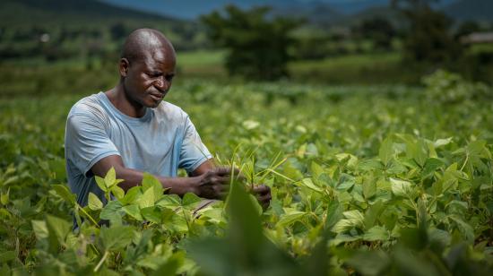 Farmer tending to crops / Richard Nyoni: Unsplash 
