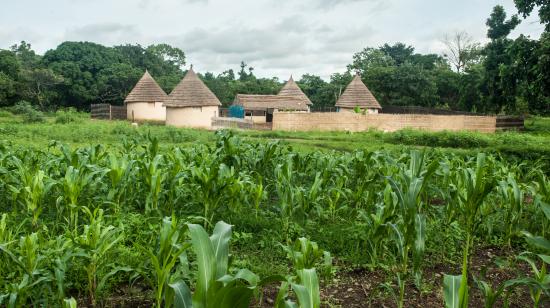 Rural farm landscape /Shutterstock