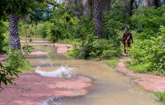 Roads flooded with water in the forests of Oussouye village in the Casamance region of Senegal